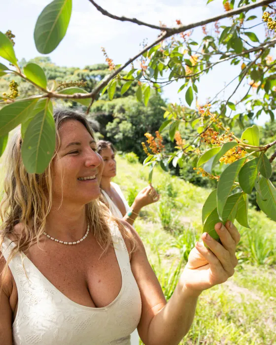 A woman reaching into a branch of orange blossoms on the land at Amora, a friend behind her in the tall grass.
