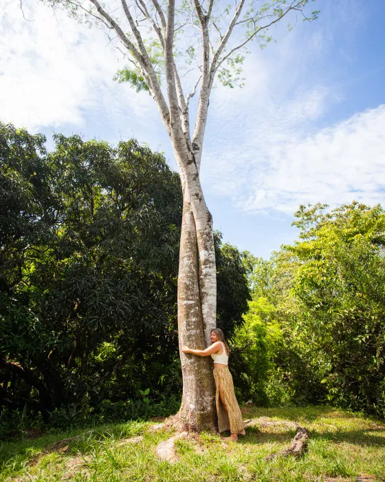 A woman embracing the pale trunk of a tall tree on the ridge at Amora, under a blue sky.