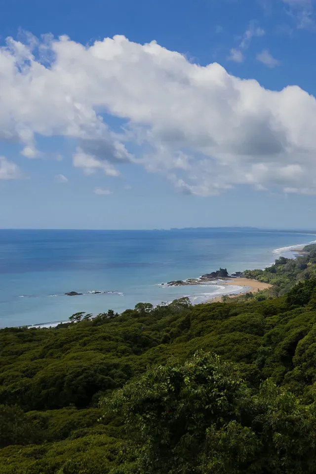 A view across the forest canopy from Amora to a curving beach and a rocky headland on the Costa Ballena, open ocean and tall clouds beyond.